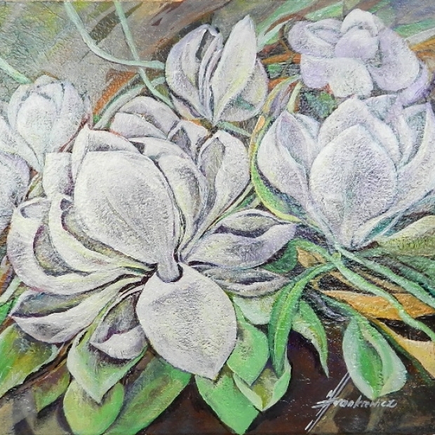 magnolie_c1.JPG